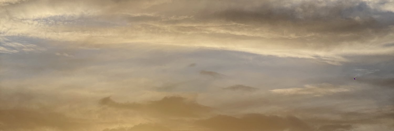 reaganlssmith's profile banner image