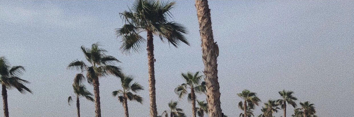 Claudiarkx1's profile banner image