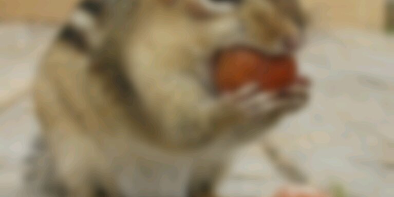 __Naka_Jima__'s profile banner image