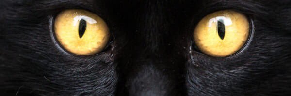 iampam13's profile banner image