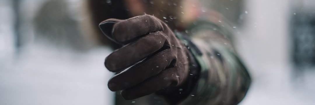 locosloth's profile banner image
