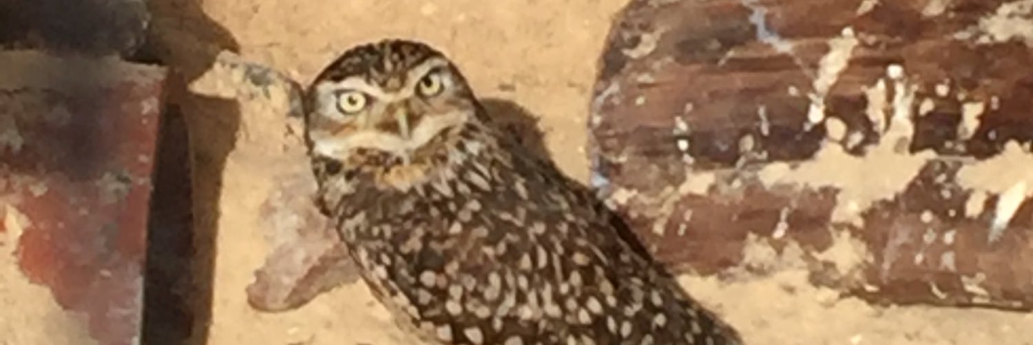 corrinewalker85's profile banner image