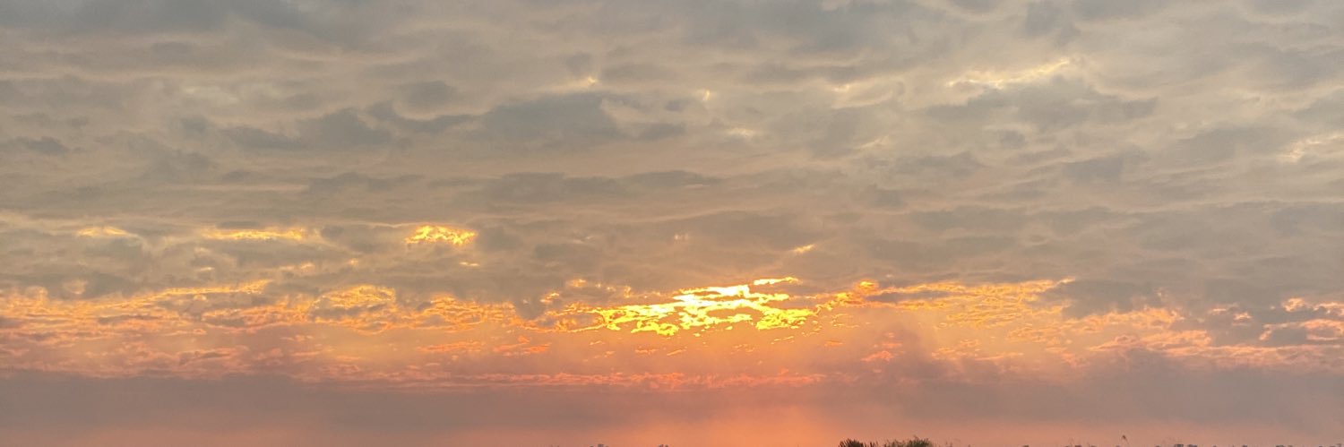 soybeanPy's profile banner image