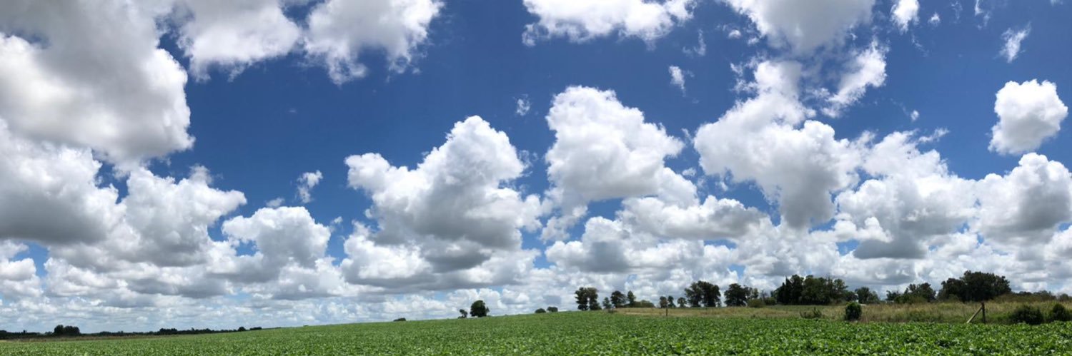 NBorrone's profile banner image