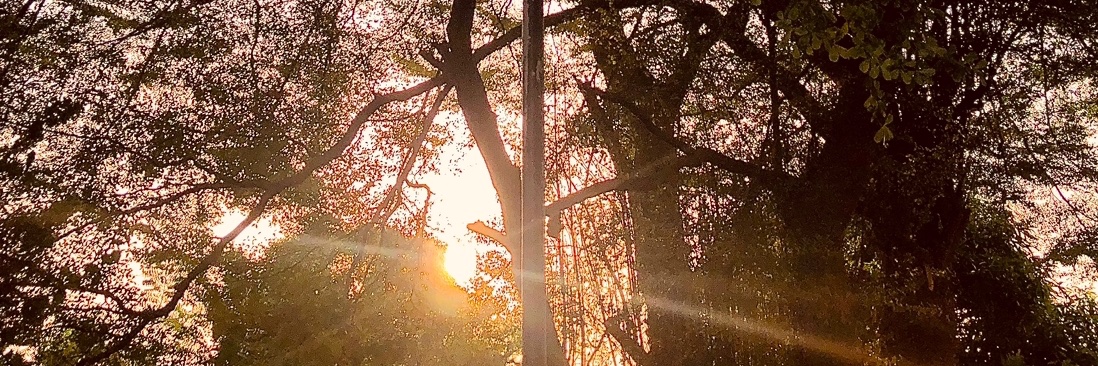 coderwa's profile banner image