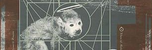 Fomo Sapiens banner