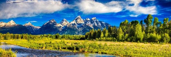 VinRodriguez4's profile banner image