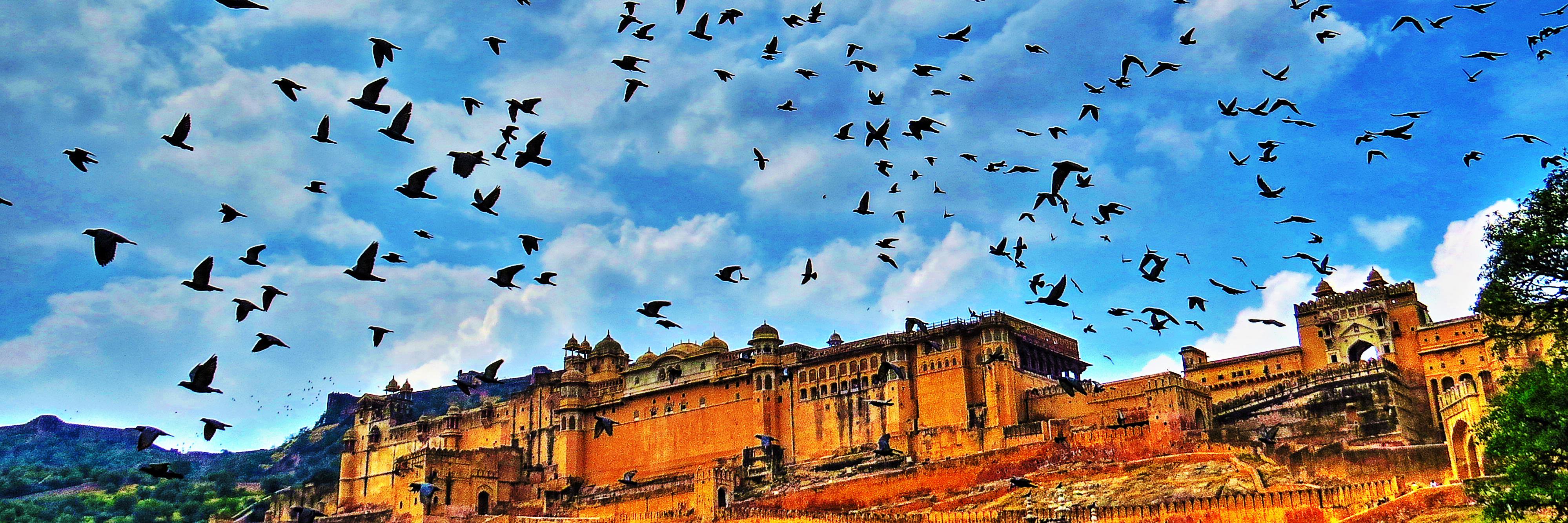 ankeshsagar's profile banner image