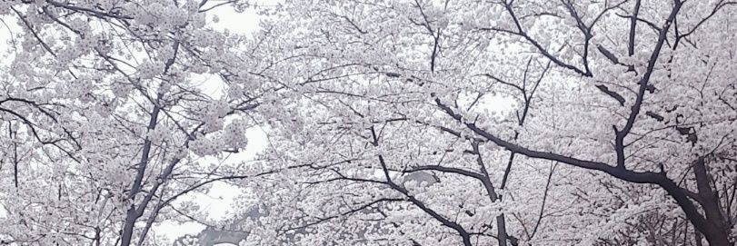 sweet7820's profile banner image