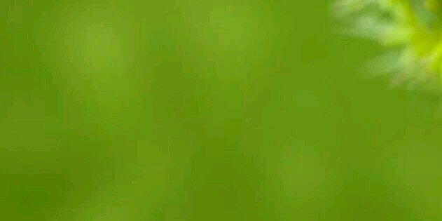 modi475's profile banner image