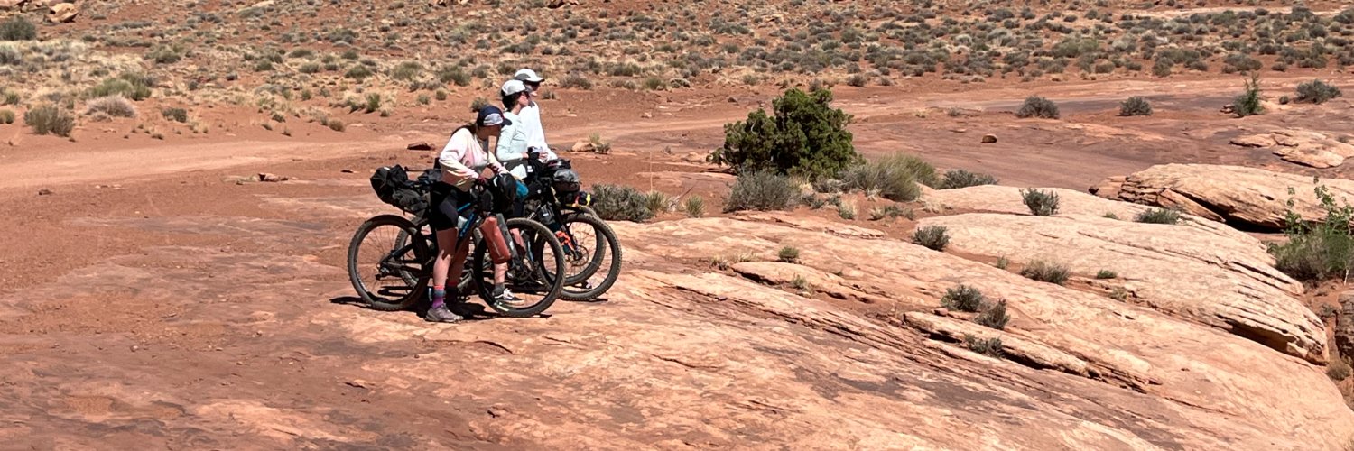 Ana Marasović banner