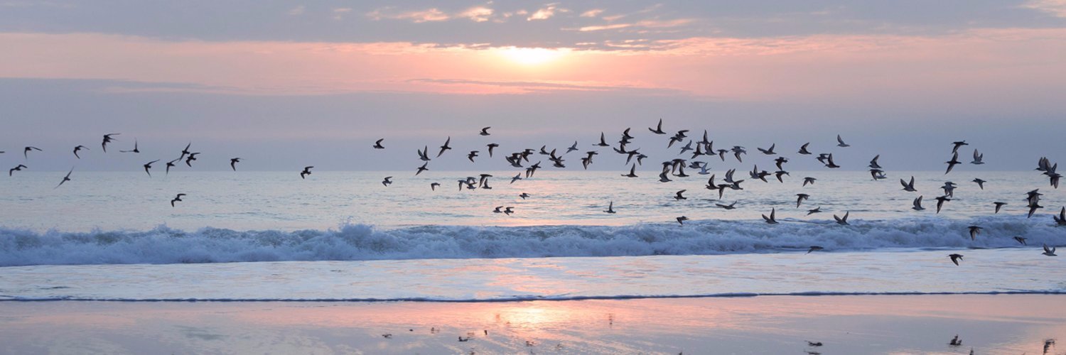 رامي الشهري banner