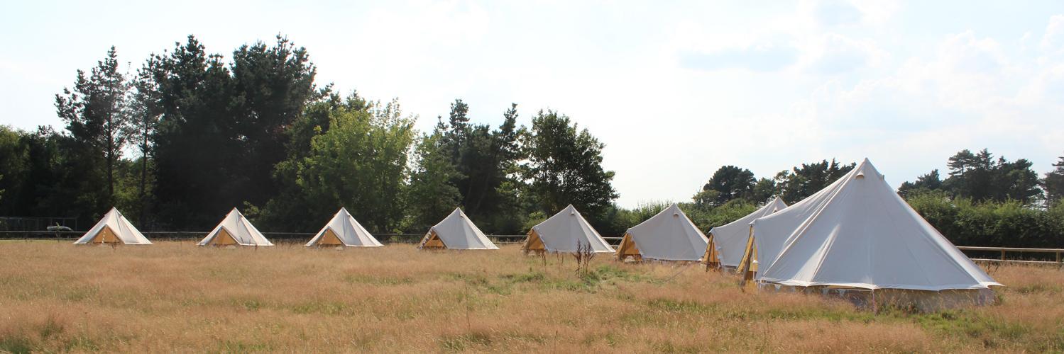 NewForestBells's profile banner image