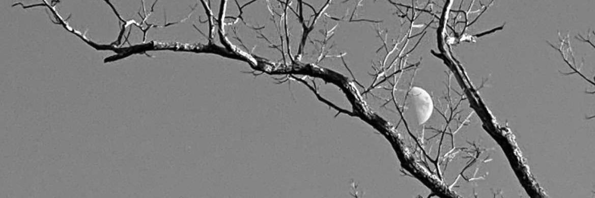 tweeteritup's profile banner image