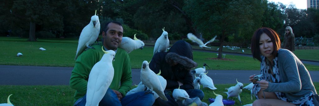 simnassar's profile banner image