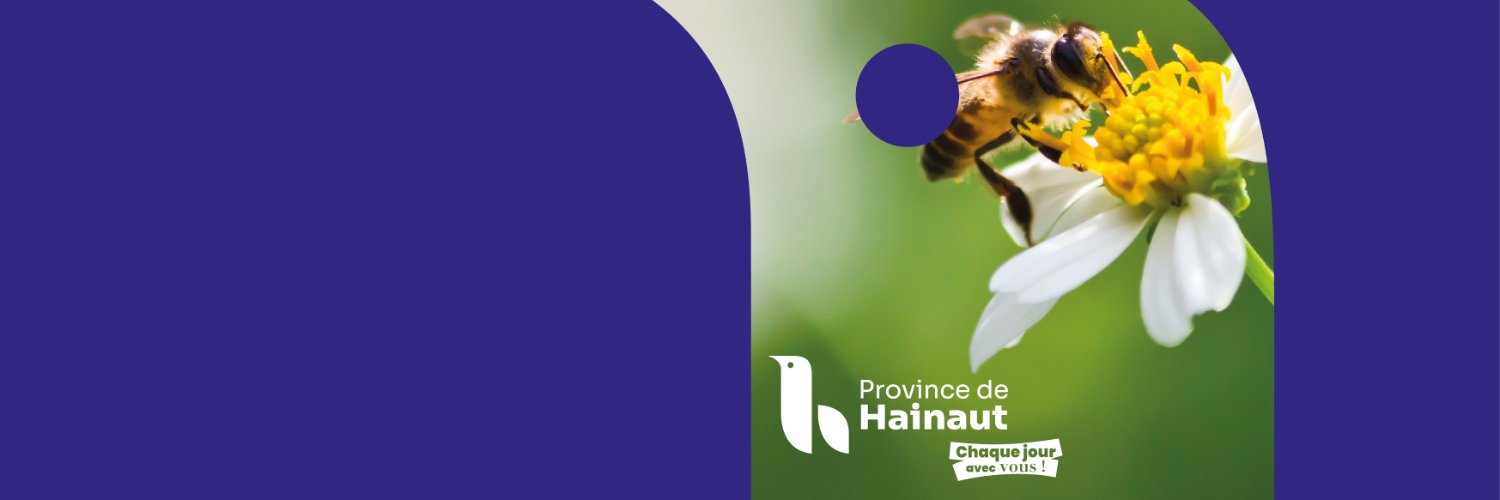 Hainaut Développement - Province de Hainaut banner