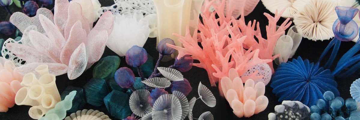 Veronica 💫 banner