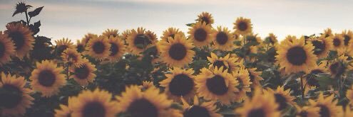 beatriznaomii's profile banner image