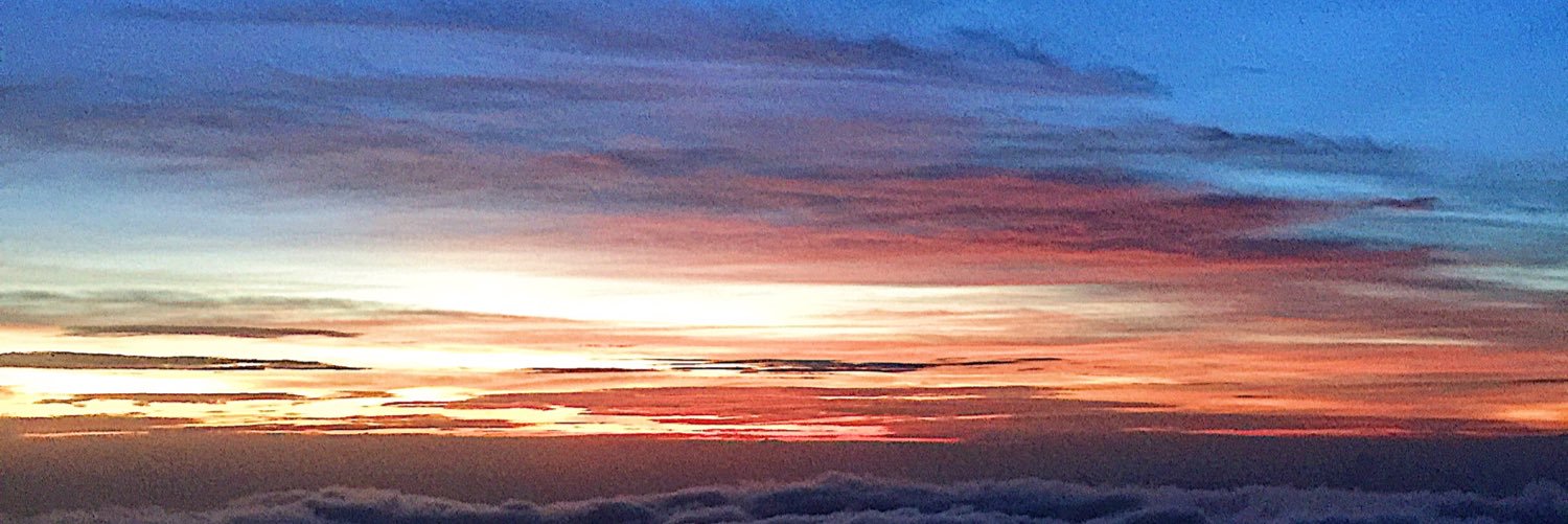zaynmoulic's profile banner image