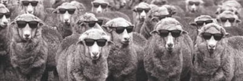c_urquizob's profile banner image