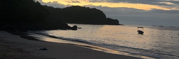 SandyDhanapala Profile Banner