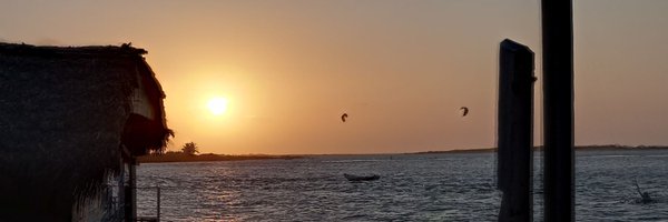 dorcadie Profile Banner
