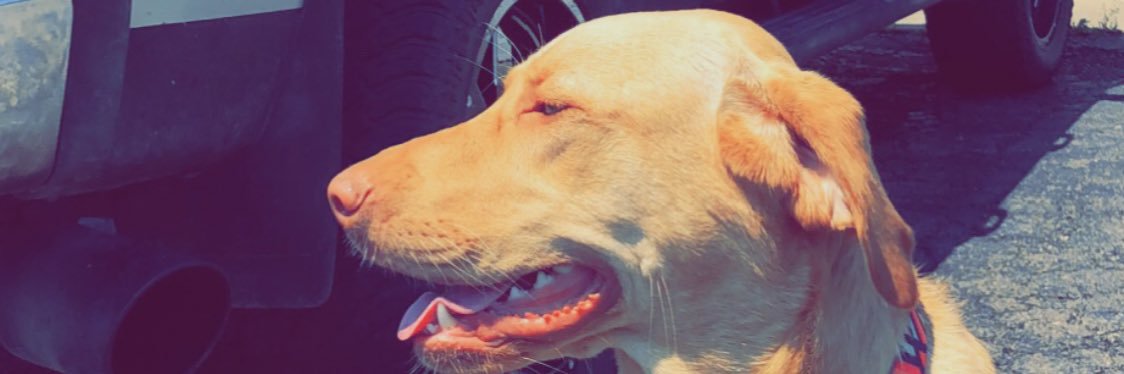 AydenDecker's profile banner image