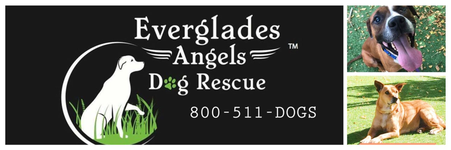 EvergladesDogs's profile banner image