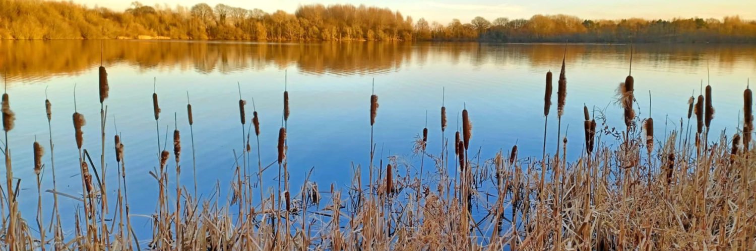 Bazzlemonster banner