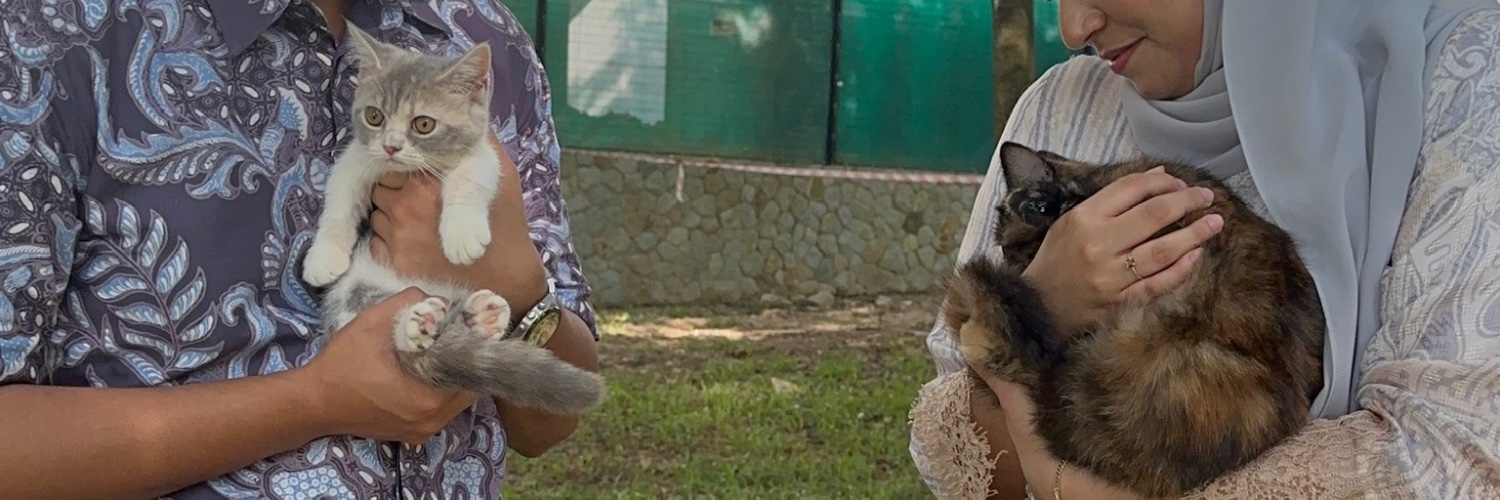 adibokay's profile banner image
