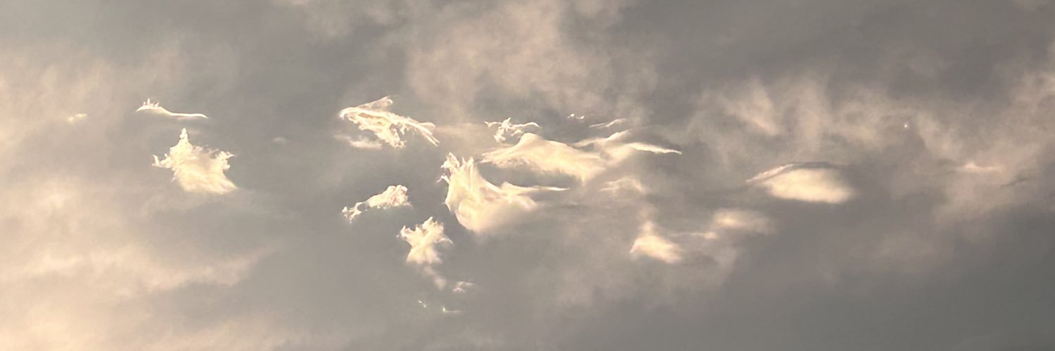 SarRahRah4's profile banner image