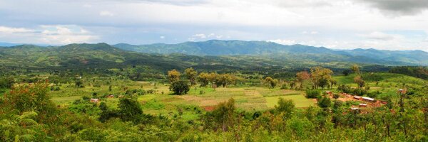 MSessaHawkins Profile Banner