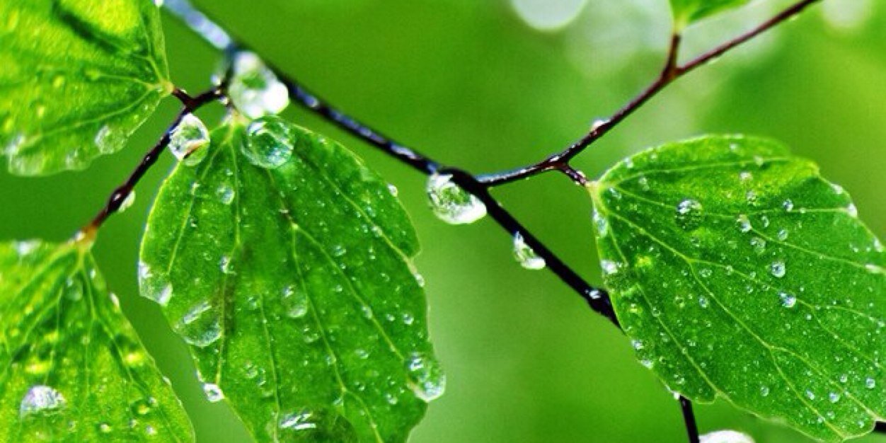 MariaMariposit's profile banner image