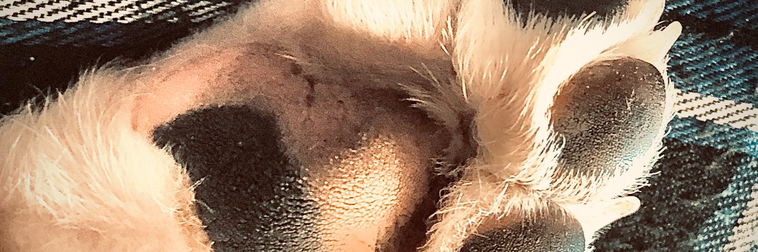 ThickAsABrick's profile banner image
