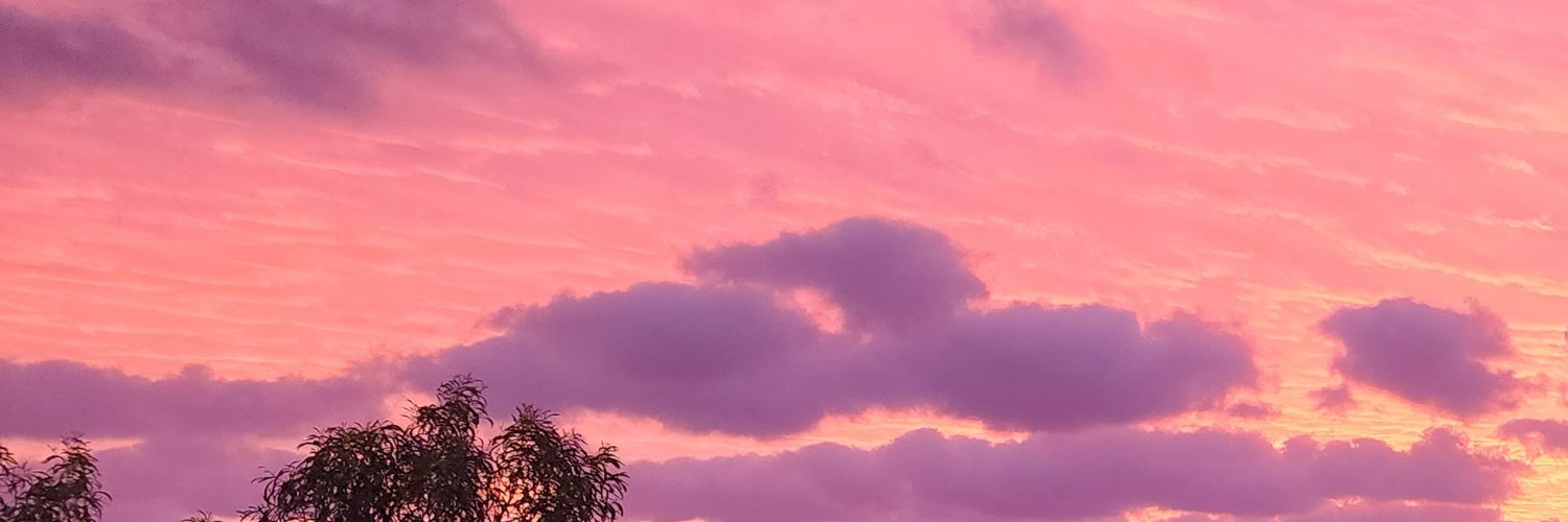 cleeshoy's profile banner image