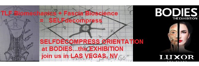 SelfDecompress's profile banner image