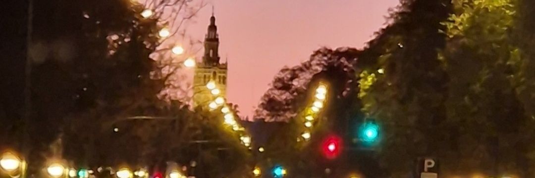 monicaparejo's profile banner image
