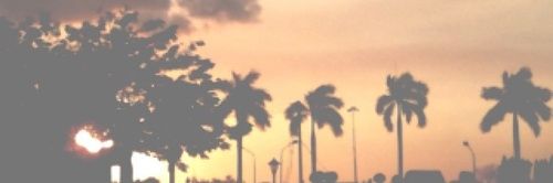 FickenPrincess's profile banner image