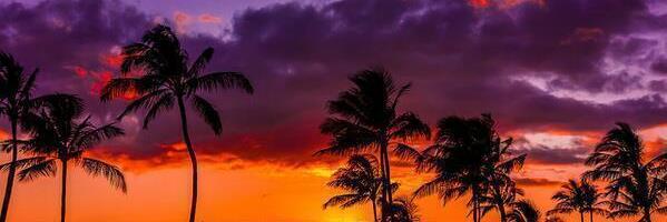 nlpeltz's profile banner image