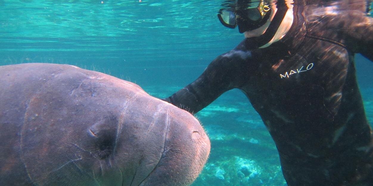 GC Expeditions banner