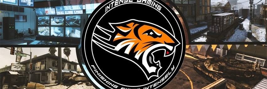InTenseGClan's profile banner image
