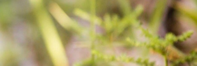 rublues_'s profile banner image