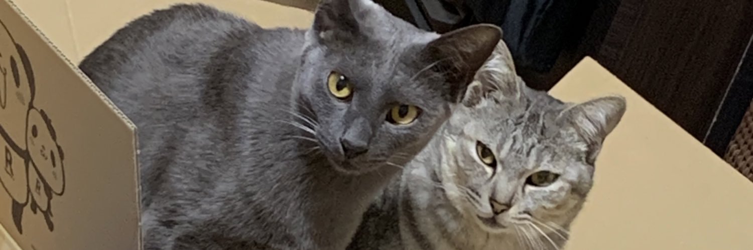meetan426's profile banner image