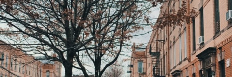 IsabelaGeisyan1's profile banner image