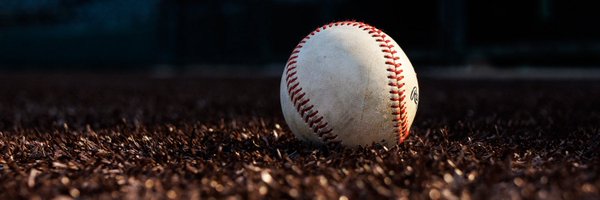FLProBaseball Profile Banner