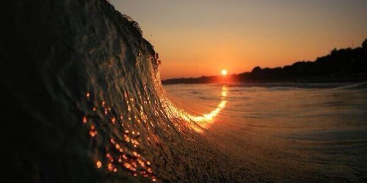 Matt Chisholm banner