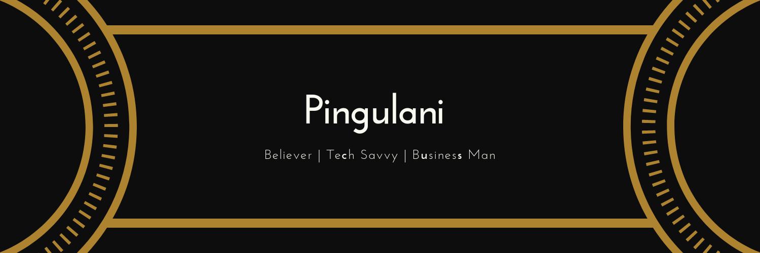 Pingulanim's profile banner image