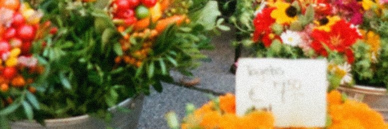 thisismechava's profile banner image