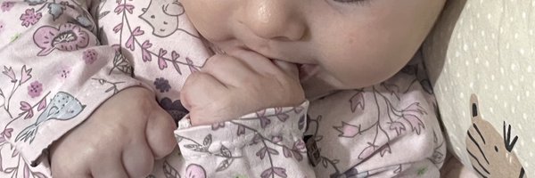 sinazlf Profile Banner