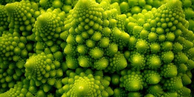 Calley Connelly banner